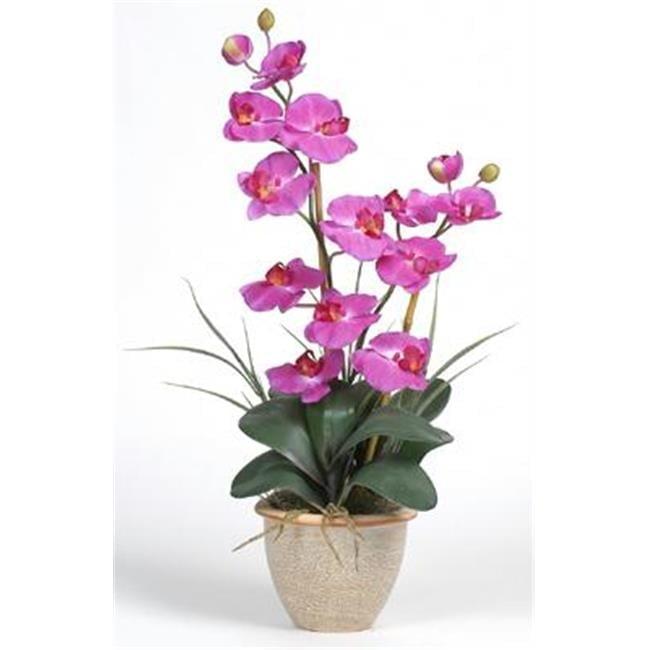 Nearly Natural Double Phalaenopsis Silk Orchid Flower Arrangement, Beauty