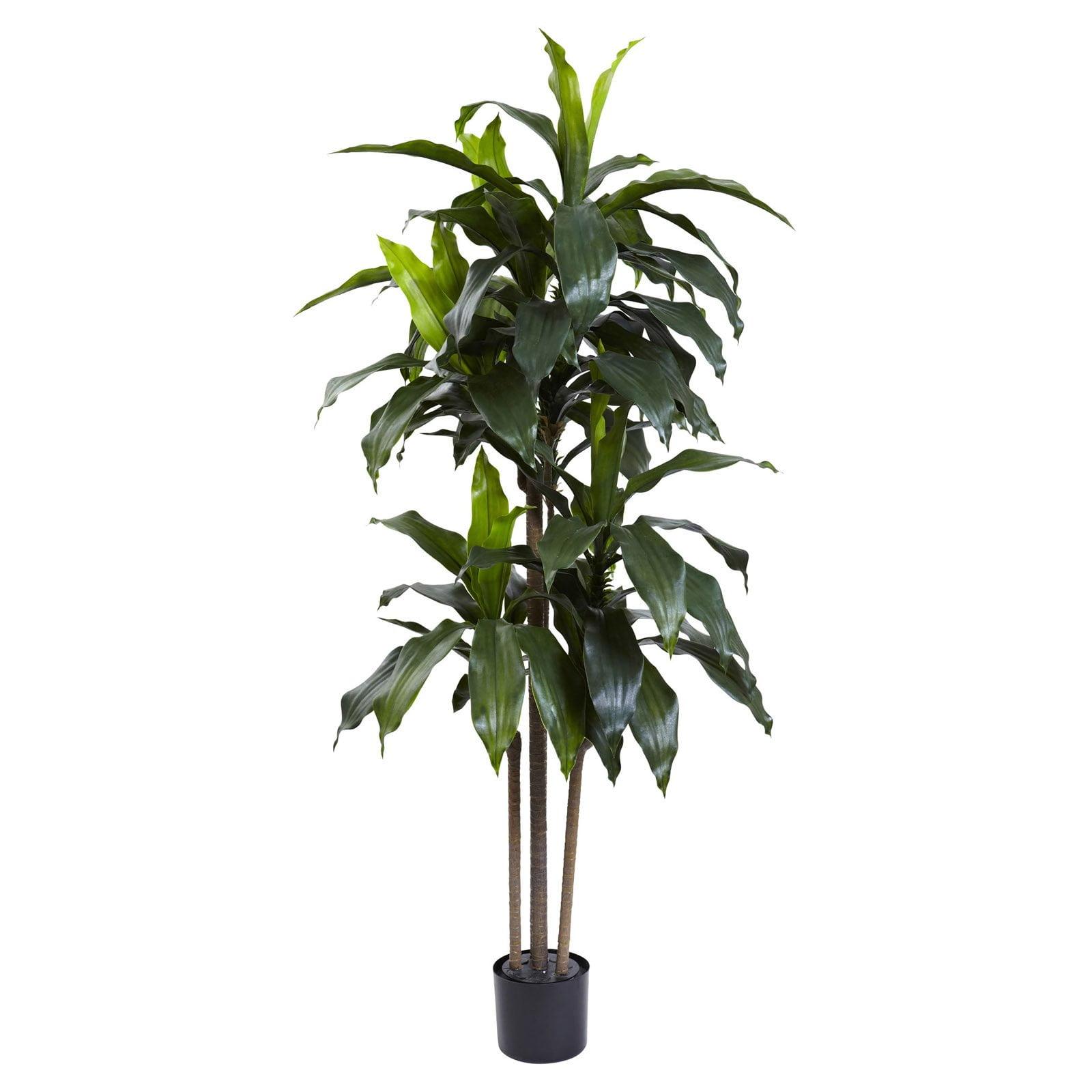 Nearly Natural 5-ft Dracaena Plant UV Resistant (Indoor/Outdoor)