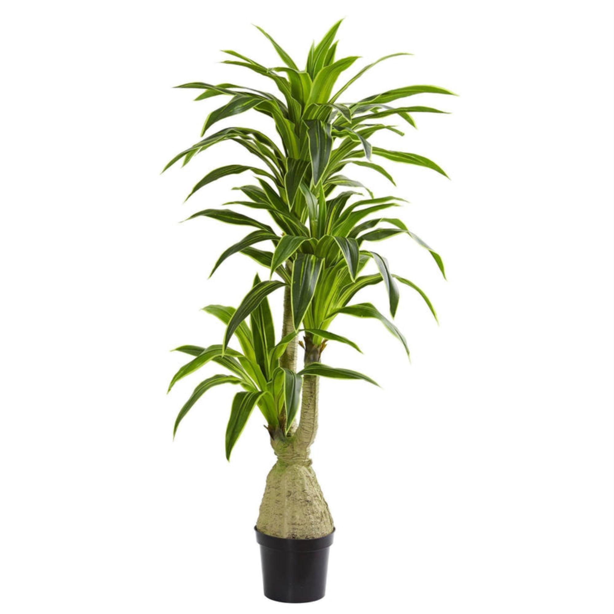 6.5 Ft Green Dracaena Faux Potted Plant with Lights