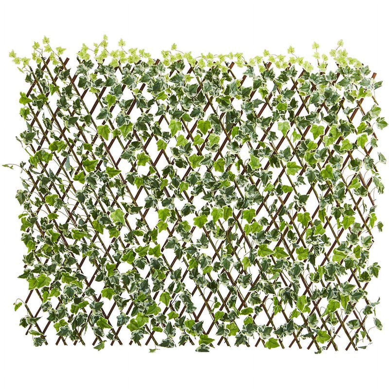 Expandable Green English Ivy UV Resistant Outdoor Fence