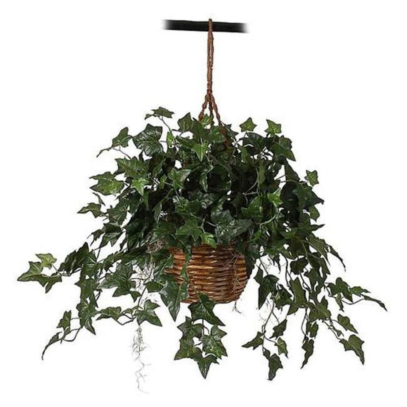 Primrue English Ivy Hanging Basket