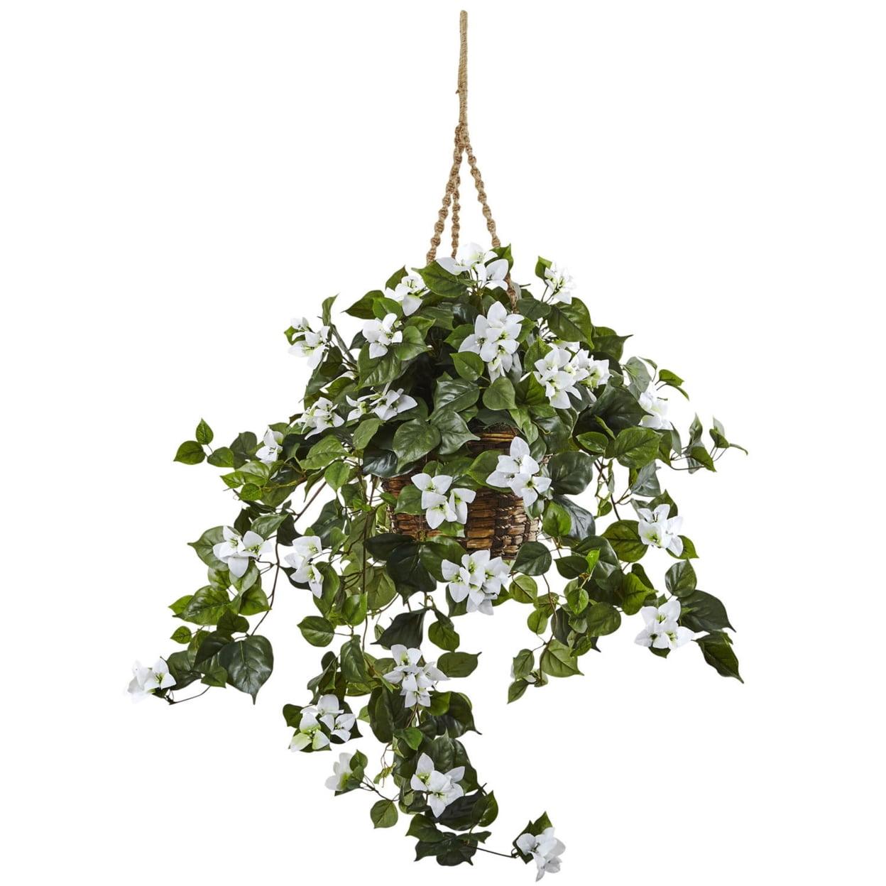 White Bougainvillea Potted Hanging Plant in Wicker Basket