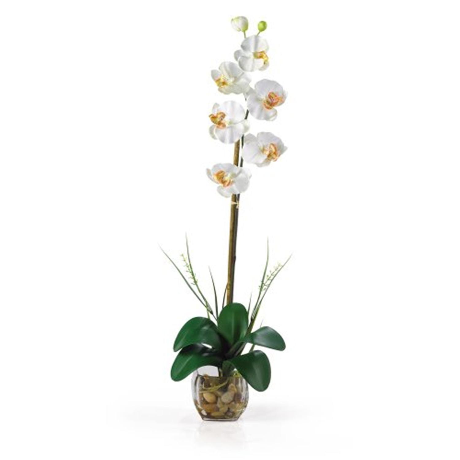 Elegant Cream Phalaenopsis Silk Orchid in Glass Vase