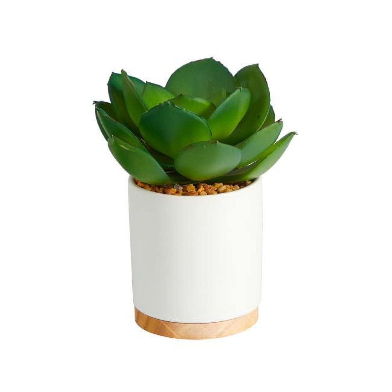 Desert Essence 7" Potted Plastic Succulent in White Planter