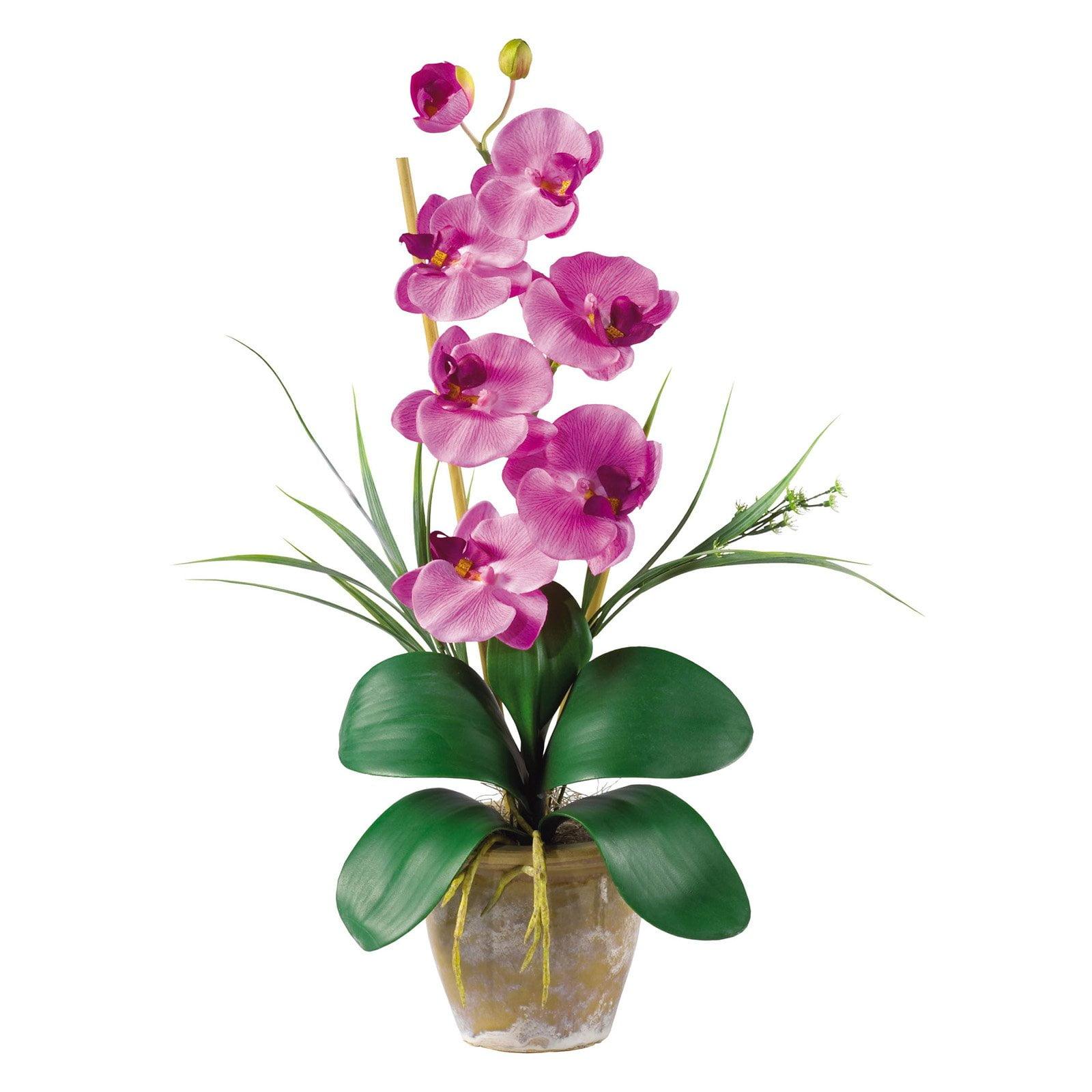 Primrue Orchid Arrangement in Pot