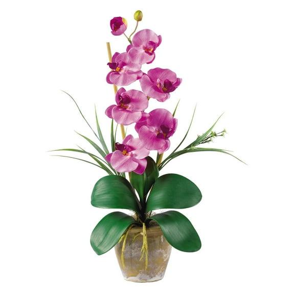 Primrue Orchid Arrangement in Pot