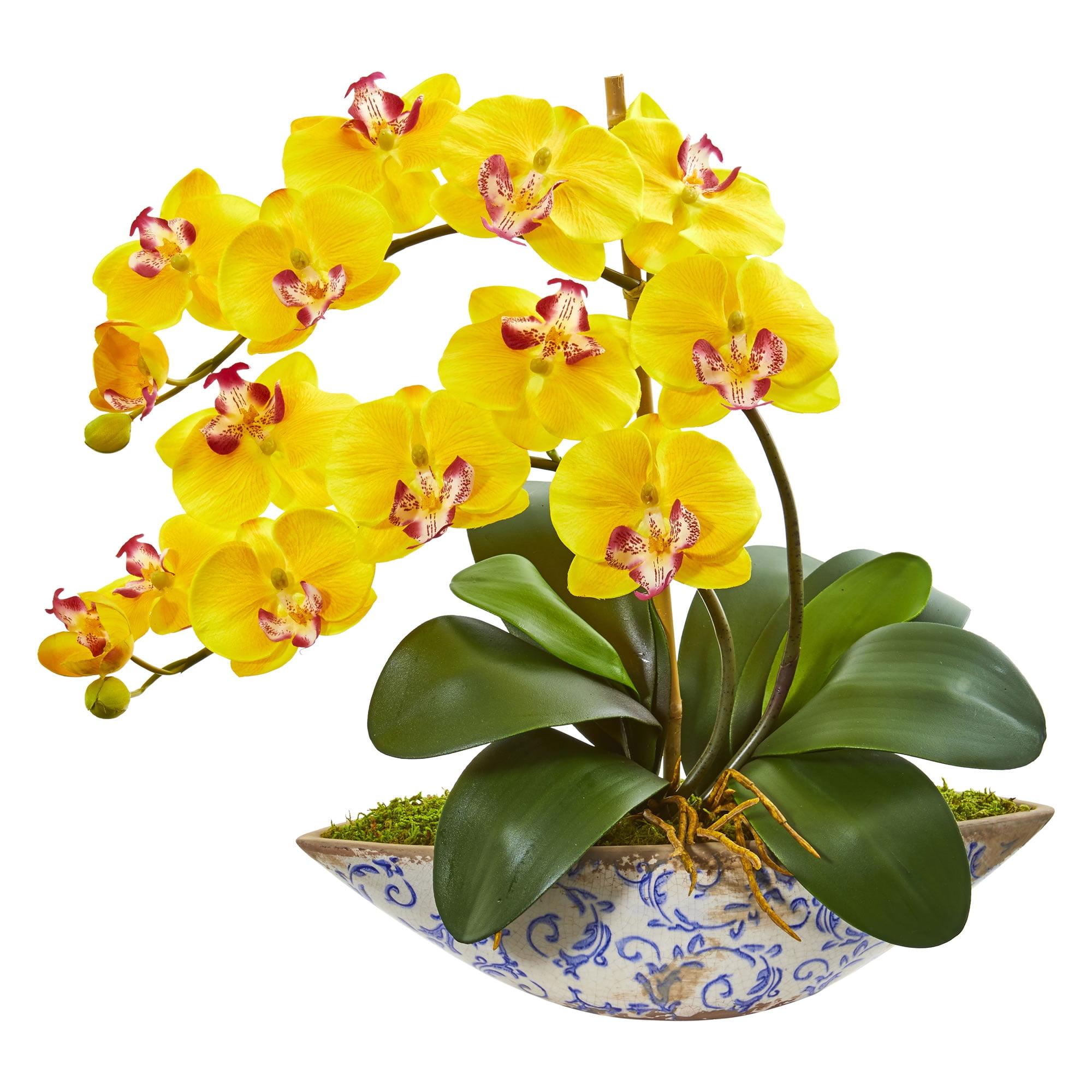 Elegant Summer Orchid 18.5" Artificial Arrangement in Yellow