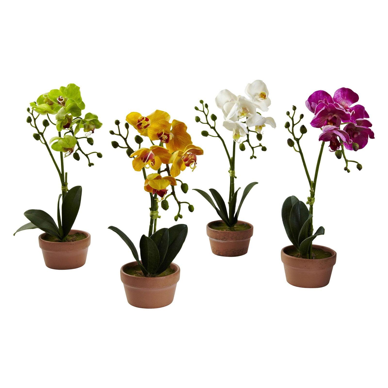 Nearly Natural Phalaenopsis Orchid with Clay Vase (Set of 4)