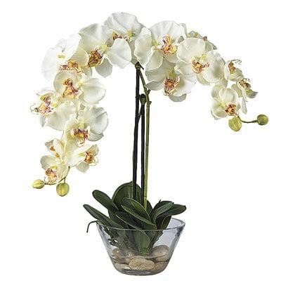 Nearly Natural 18" x 16" Artificial Phalaenopsis Orchid with Glass Vase White: Elegant Faux Orchid Display for Indoor Decor