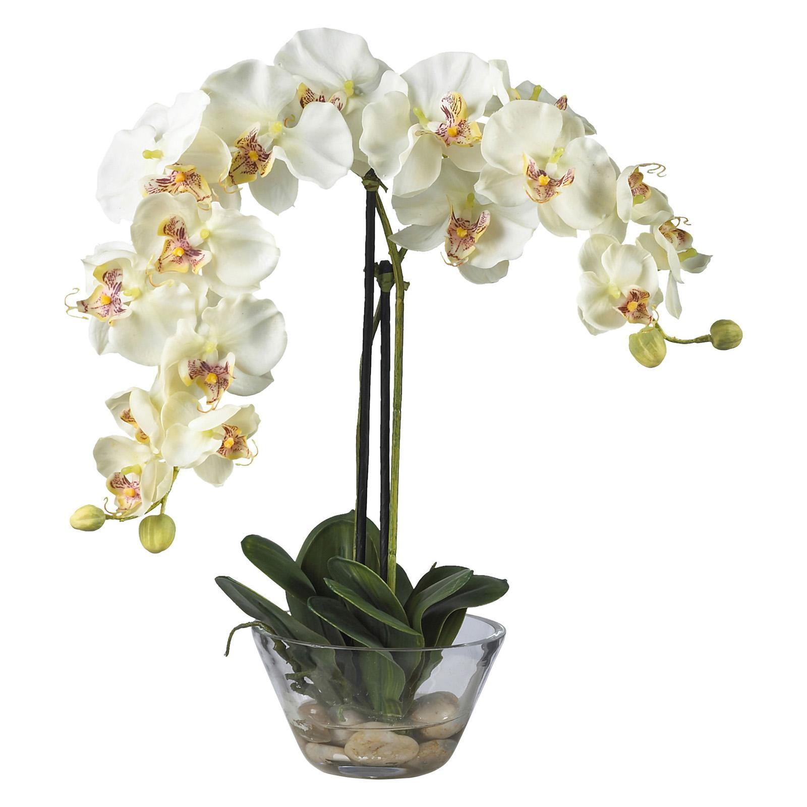 Orchid Elegance 29'' White Phalaenopsis Outdoor Tabletop Arrangement