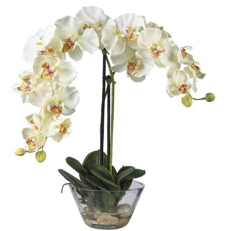 Nearly Natural 18" x 16" Artificial Phalaenopsis Orchid with Glass Vase White: Elegant Faux Orchid Display for Indoor Decor