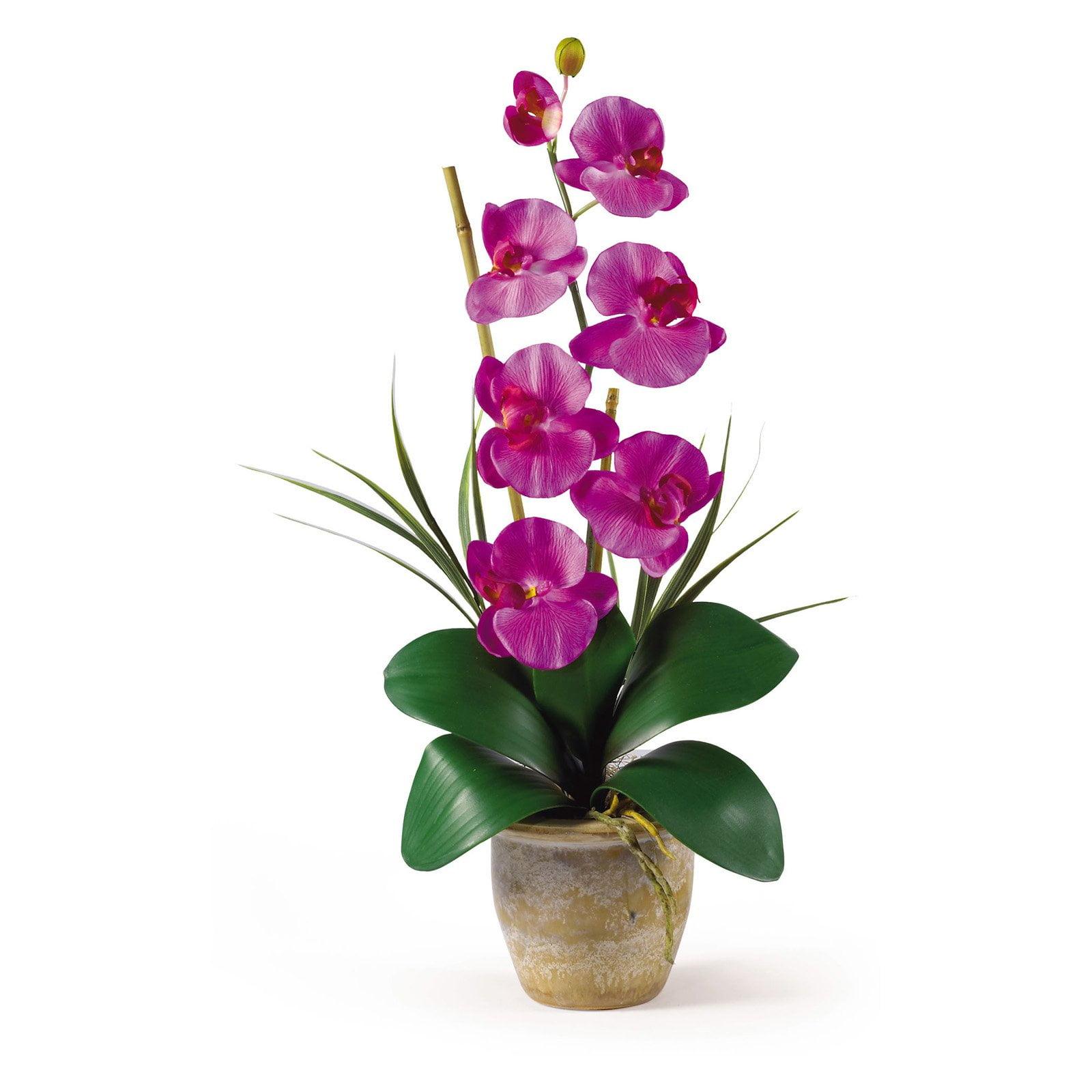 Phalaenopsis Orchid in Bronze Ceramic Vase