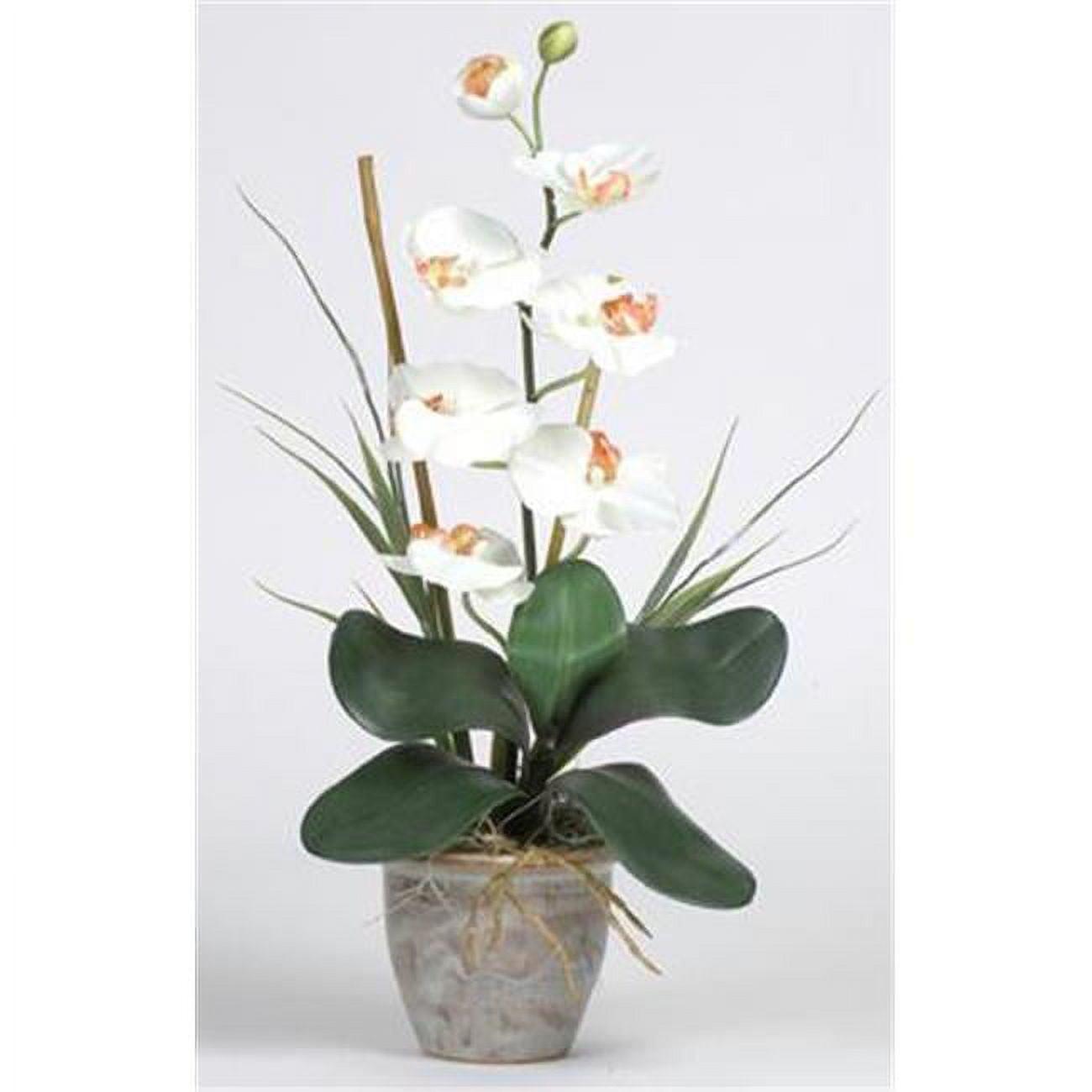 Elegant Orchid Cream Silk Tabletop Arrangement in Stylish Ceramic Pot