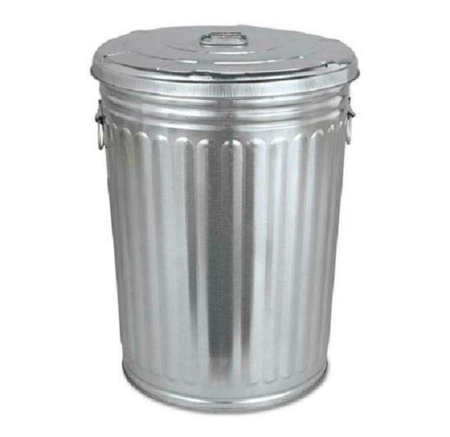 Pre-Galvanized Trash Can with Lid Round, Steel, 20gal, Grey, Outdoor Garbage Can.