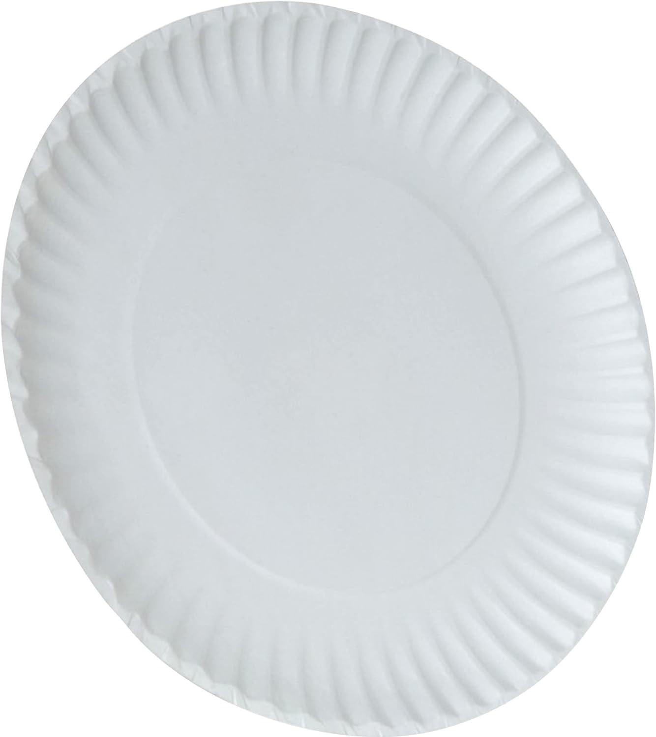 White 9-Inch Round Disposable Paper Plates, 100 Count