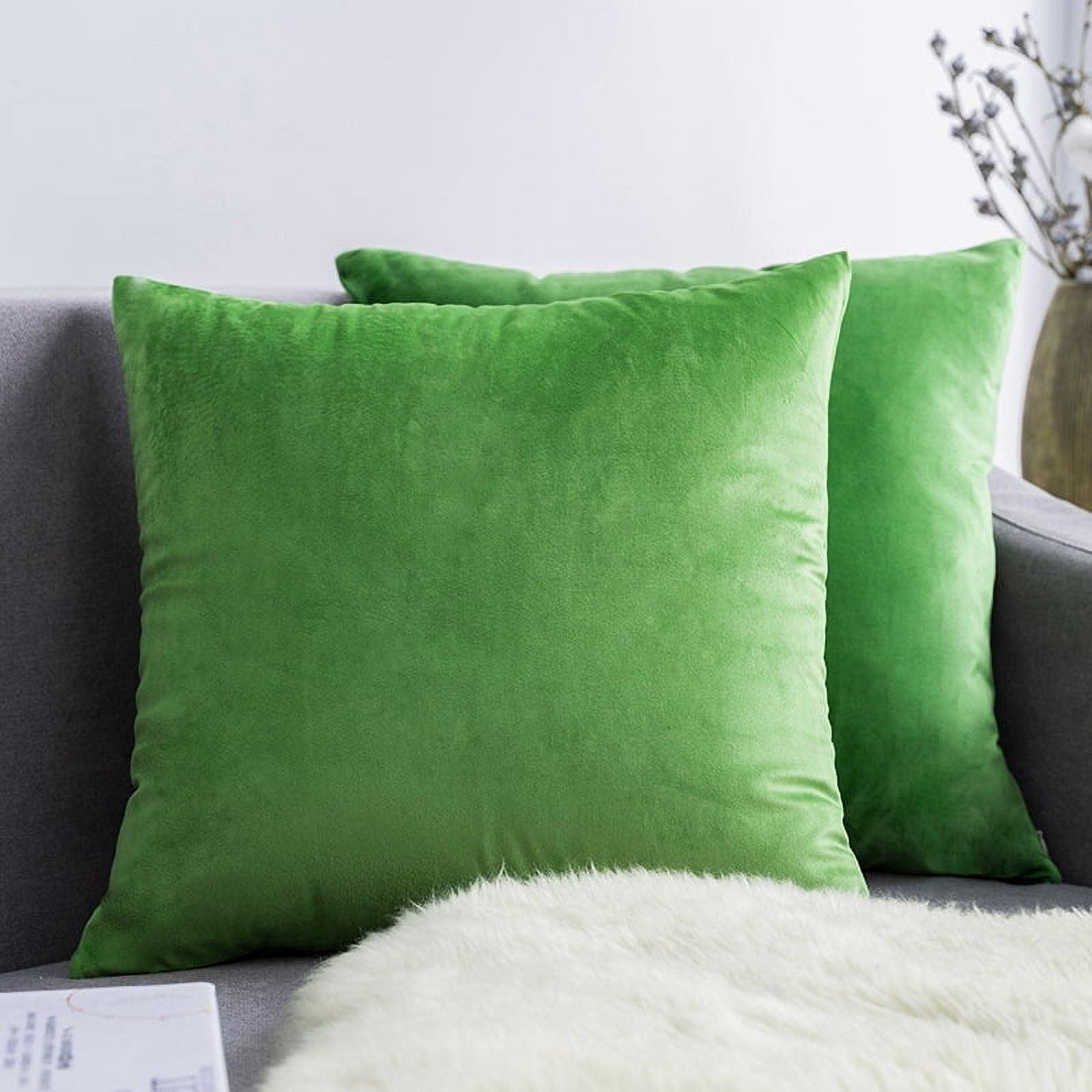 Grass Green Velvet 18" Square Pillow Covers Set of 2