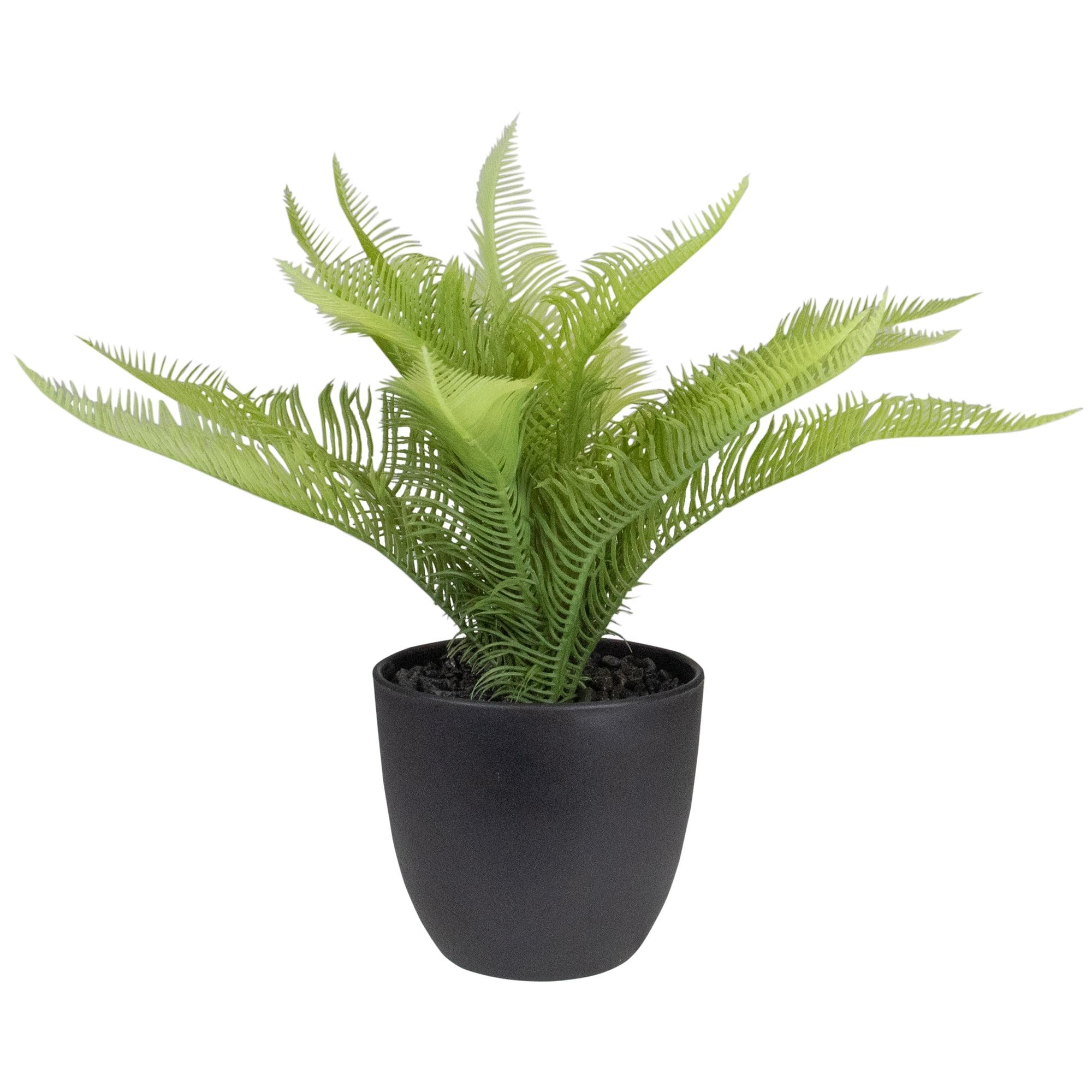 Evergreen Bliss 12" Artificial Pinus in Black Pot for Indoor/Outdoor Decor