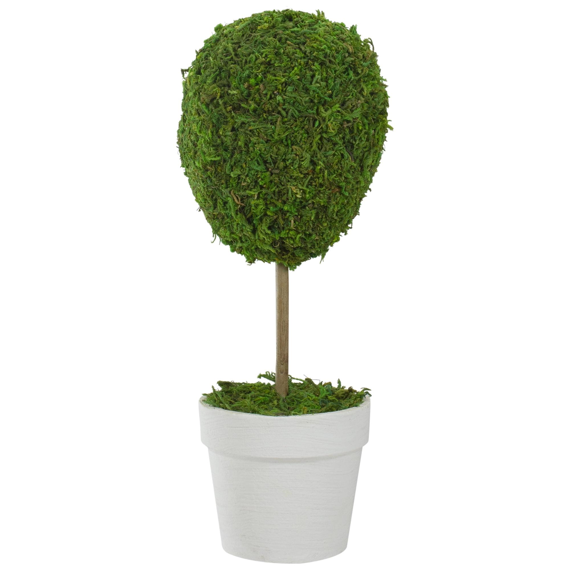 Green Reindeer Moss Ball Potted Artificial Spring Topiary Tree