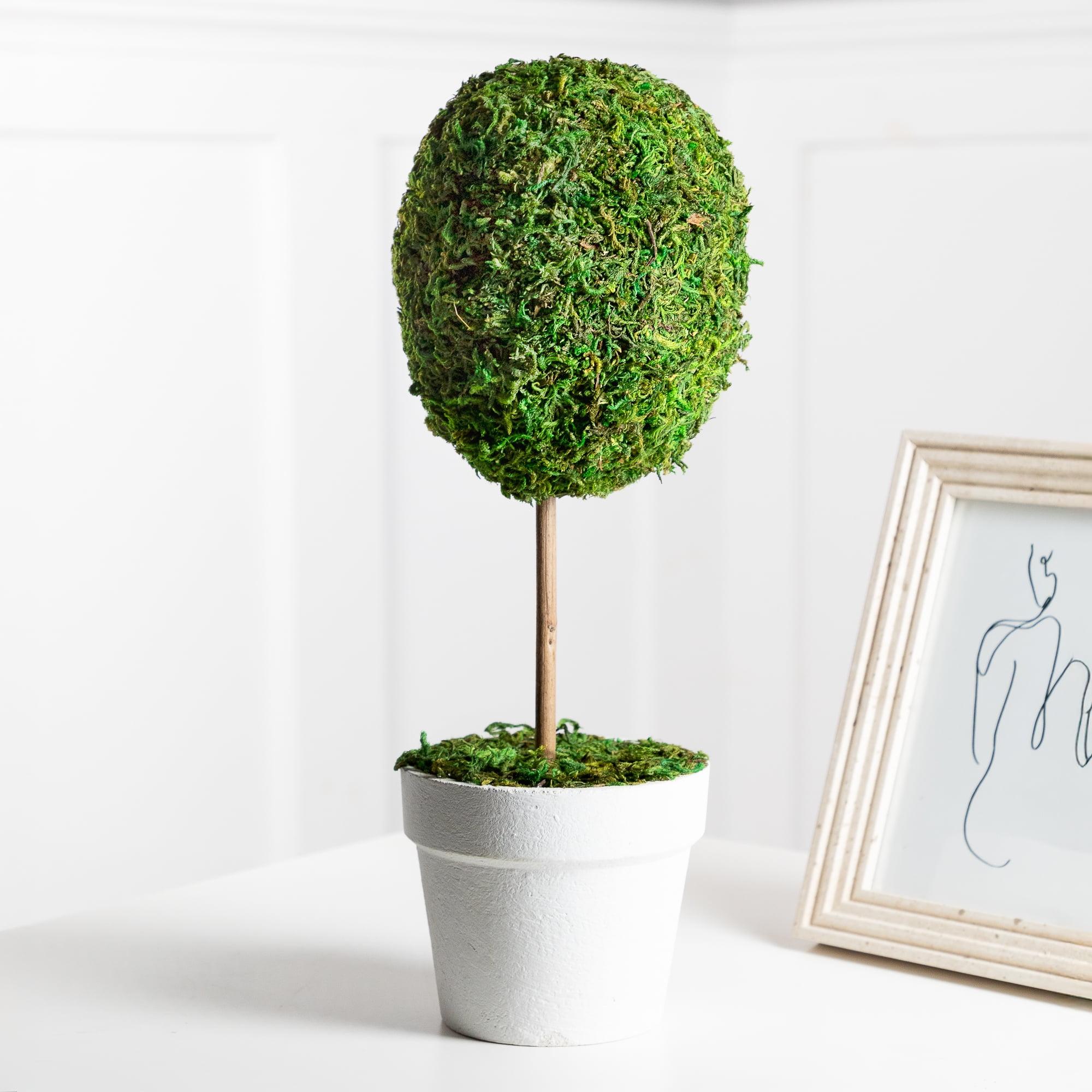 Northlight Seasonal Green Reindeer Moss Ball Potted Artificial Spring Topiary Tree