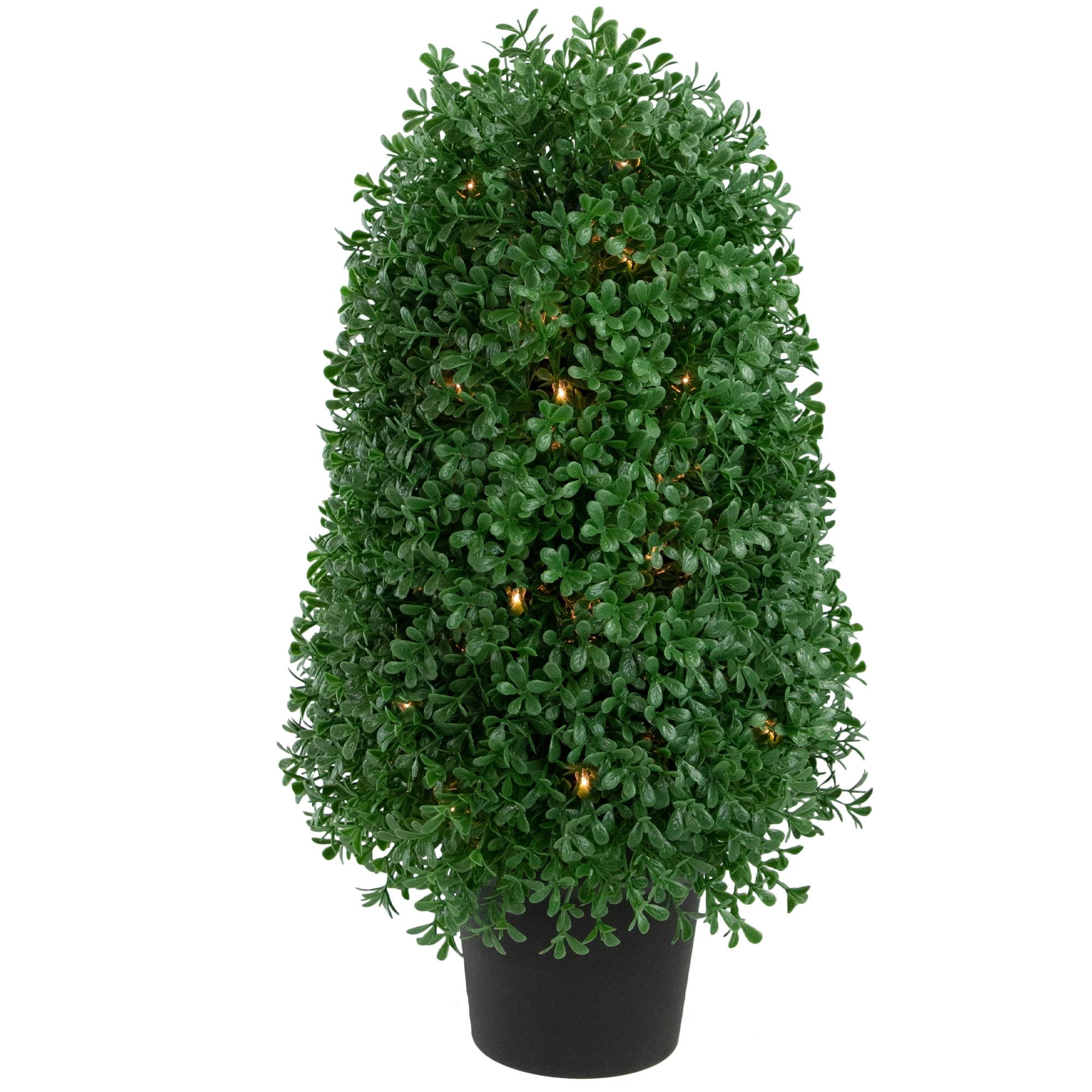 Natural Green 18" Pre-Lit Boxwood Cone Topiary in Black Pot