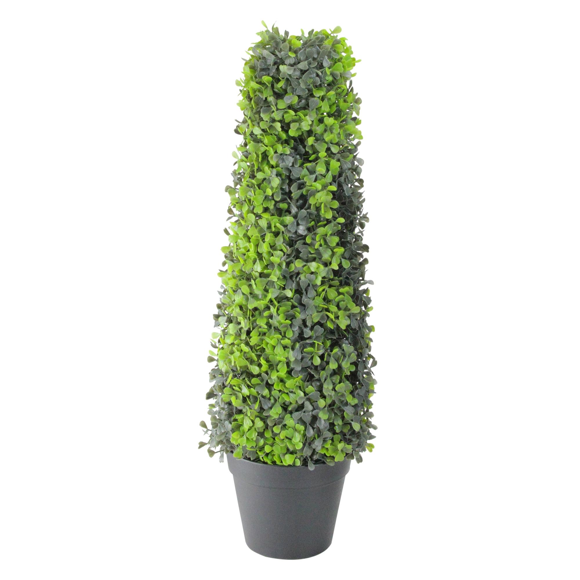 Festive 26" Green Boxwood Cone Topiary Tree in Black Pot