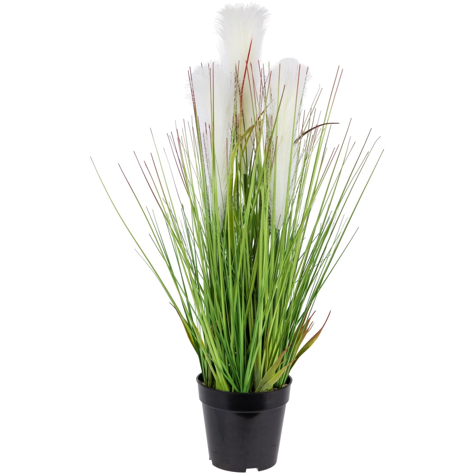 36" Tall Artificial Green and White Pampas Grass in Black Pot