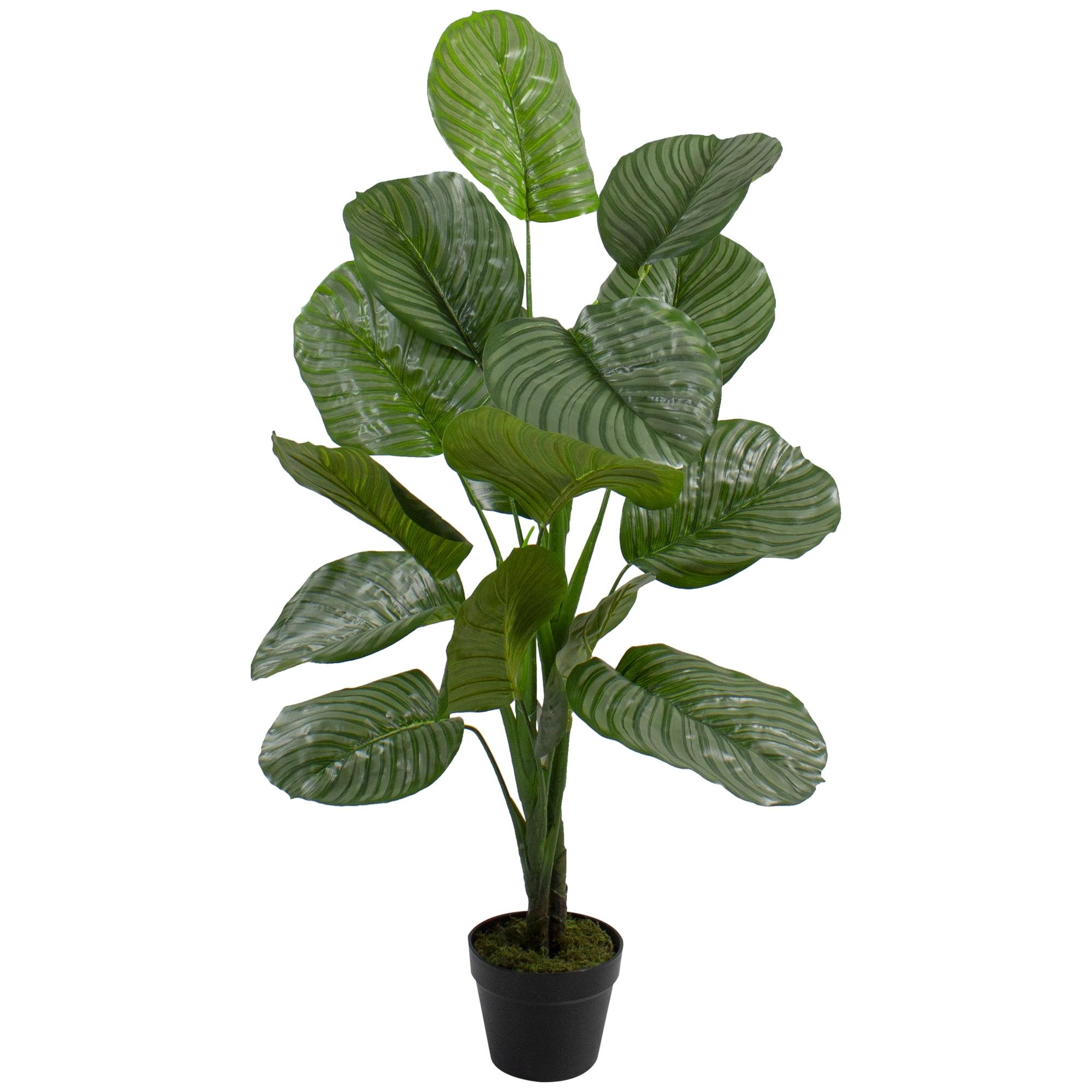 47" Two-Tone Green Plastic Calathea Artificial Floor Plant