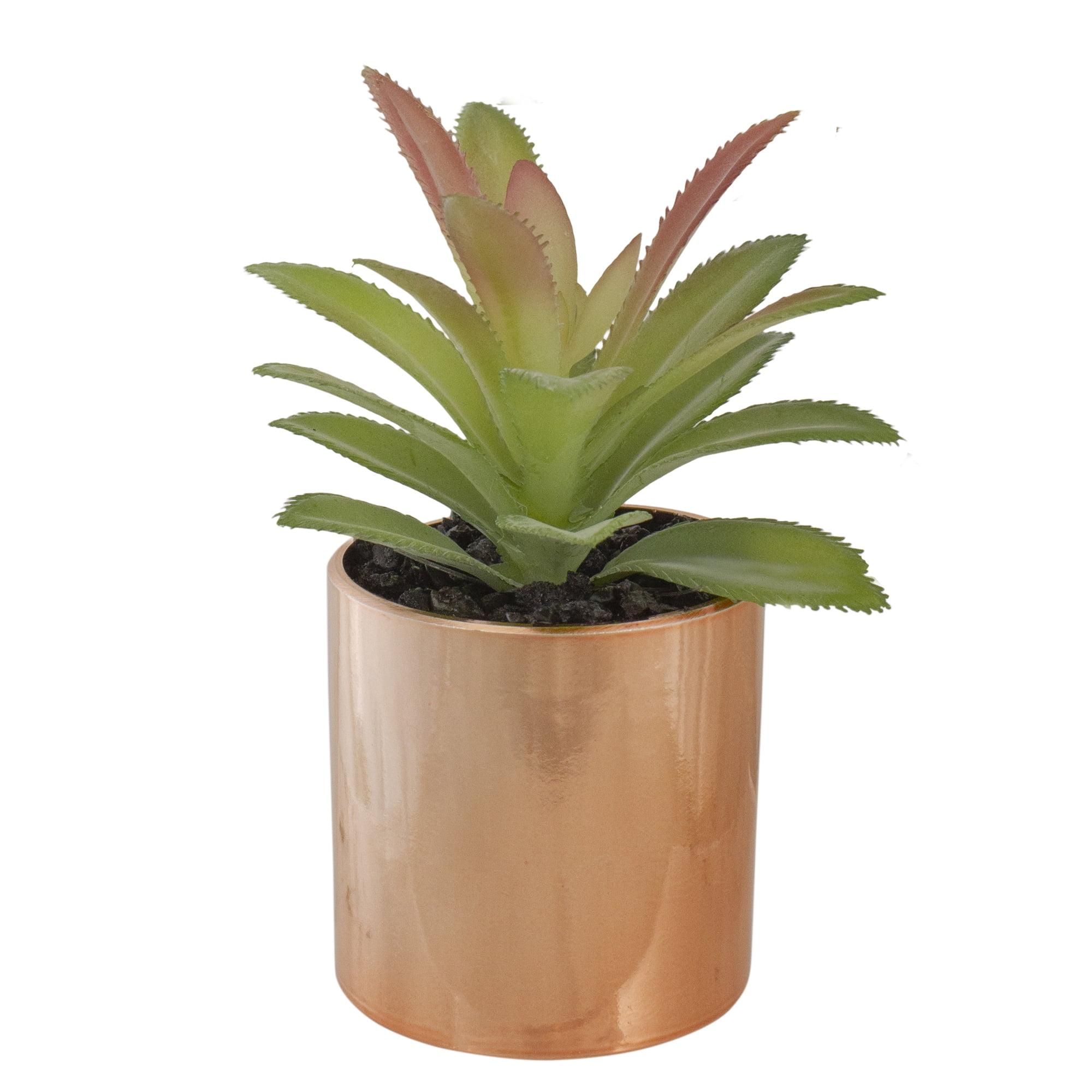 5'' Faux Aloe Plant in Stone Pot