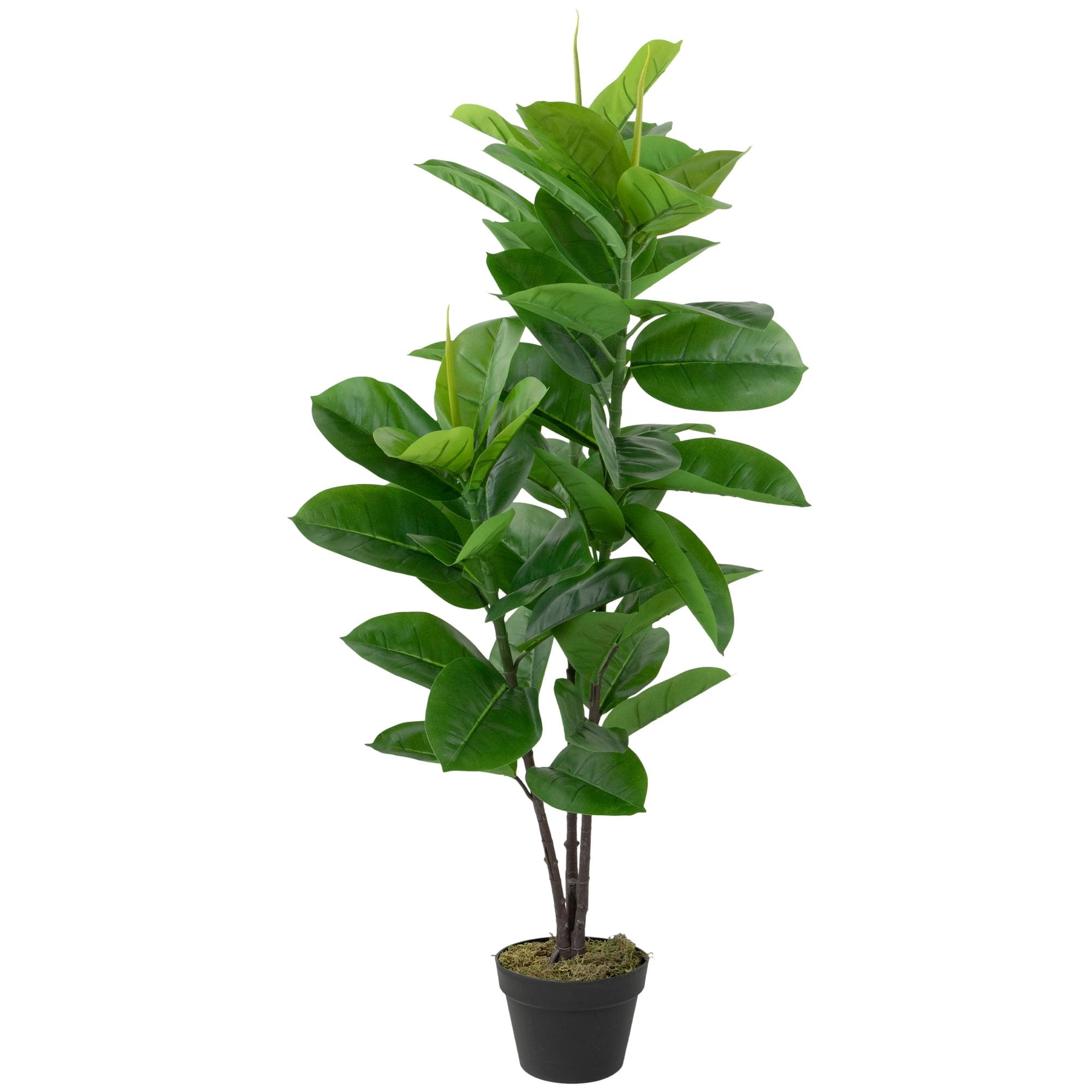 Northlight 51" Artificial Green and Brown Potted Rubber Plant