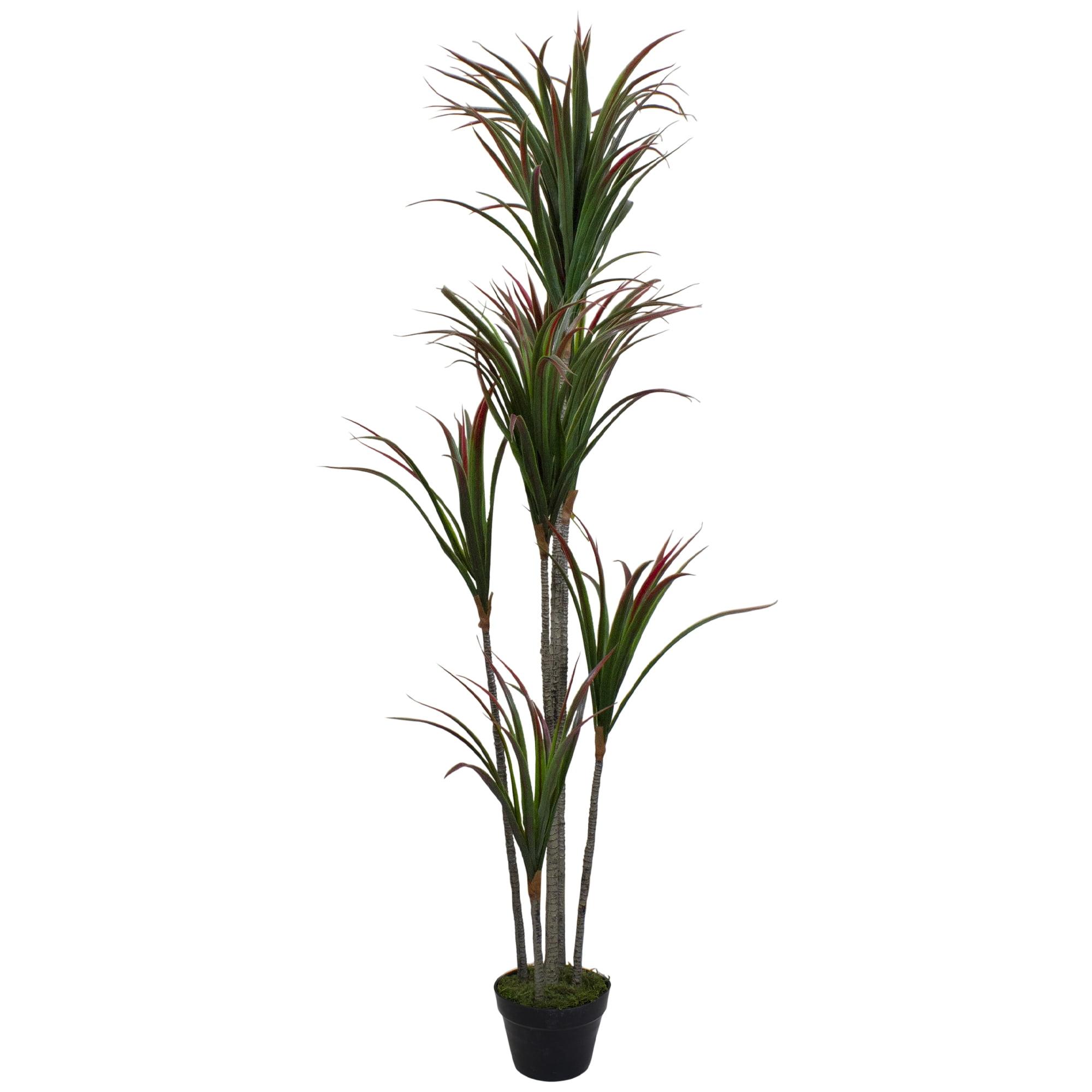 5.5' Green Artificial Potted Dracaena Marginata Plant