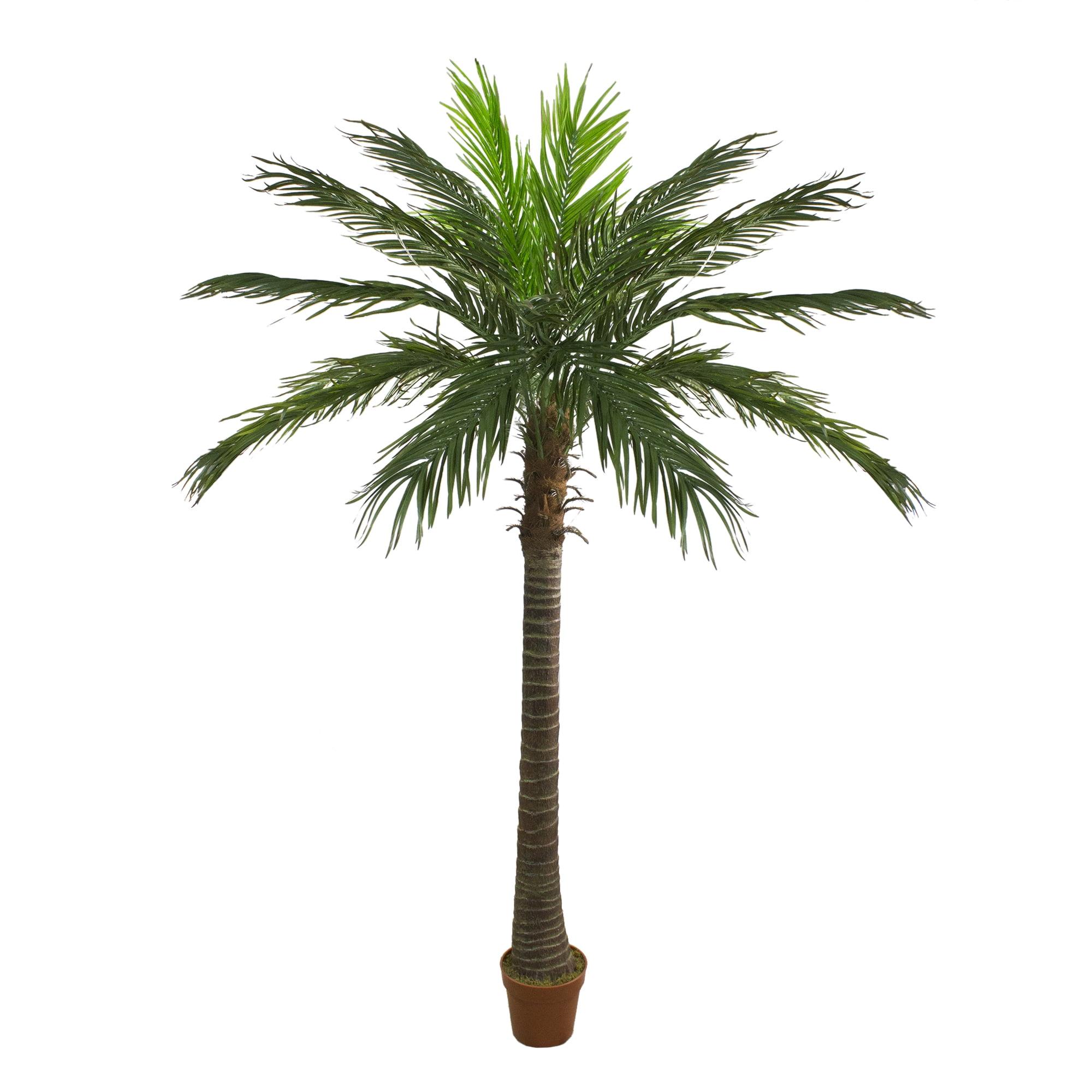 Tropical Elegance 7.5' Unlit Phoenix Palm Tree in Terracotta-Inspired Pot