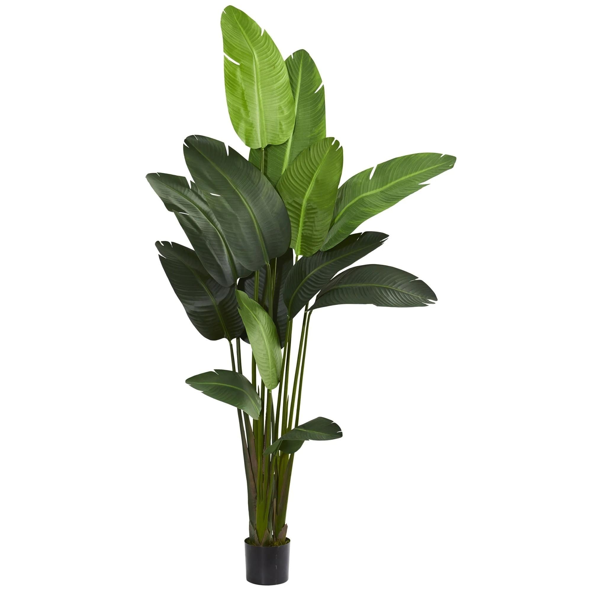 Tropical Elegance 70" Artificial Green Travellers Palm in Black Pot