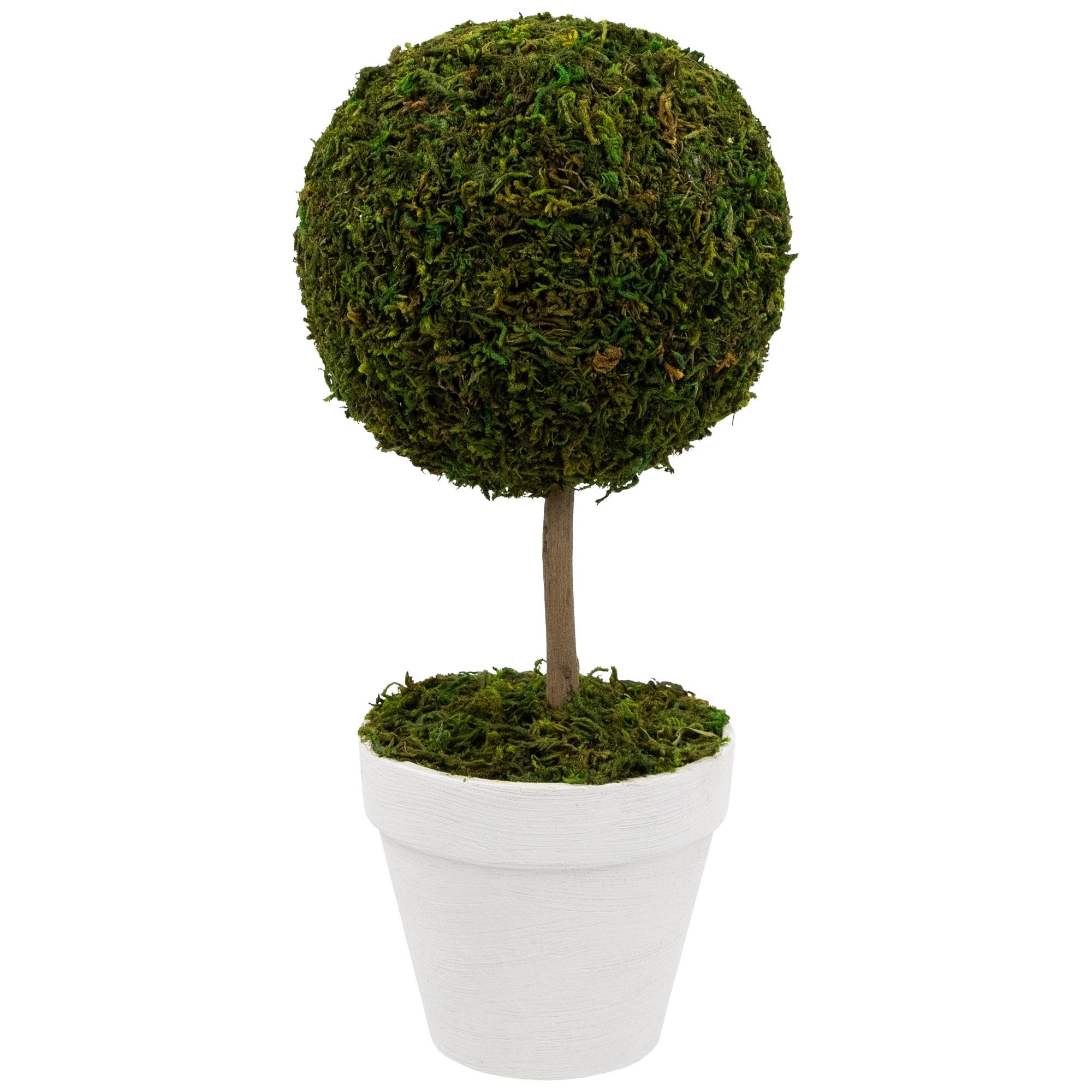 Northlight Seasonal Green Reindeer Moss Ball Potted Artificial Spring Topiary Tree