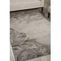 Nourison Maxell MAE05 Gray/Beige/Ivory Area Rug - 5'3" x 7'3"