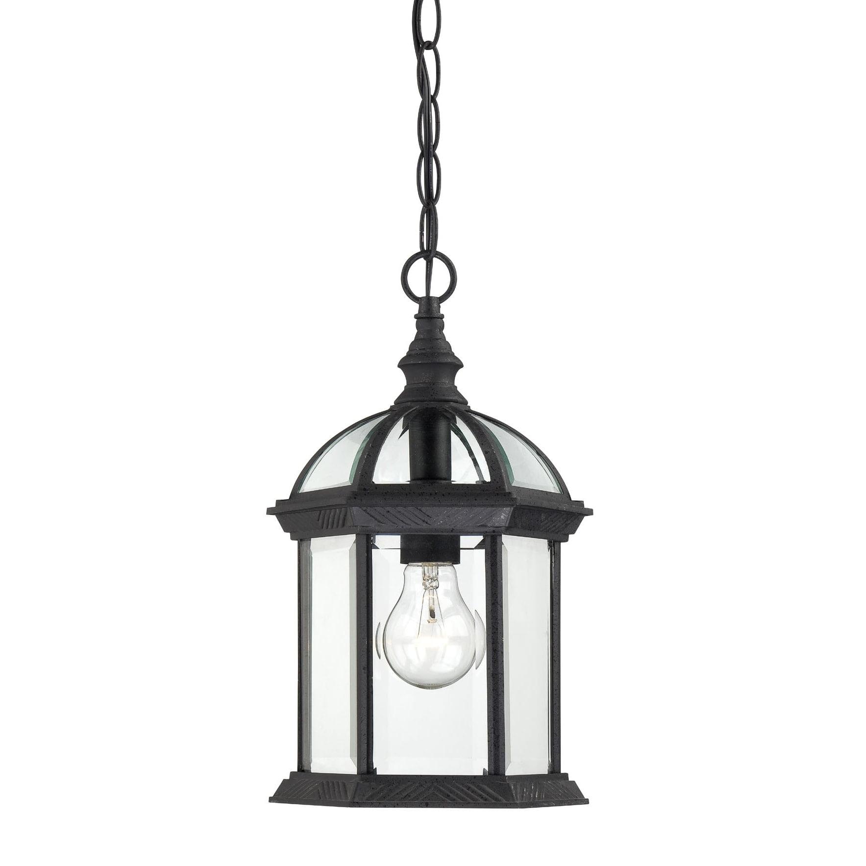 Boxwood Black 14" Outdoor Hanging Lantern with Clear Glass