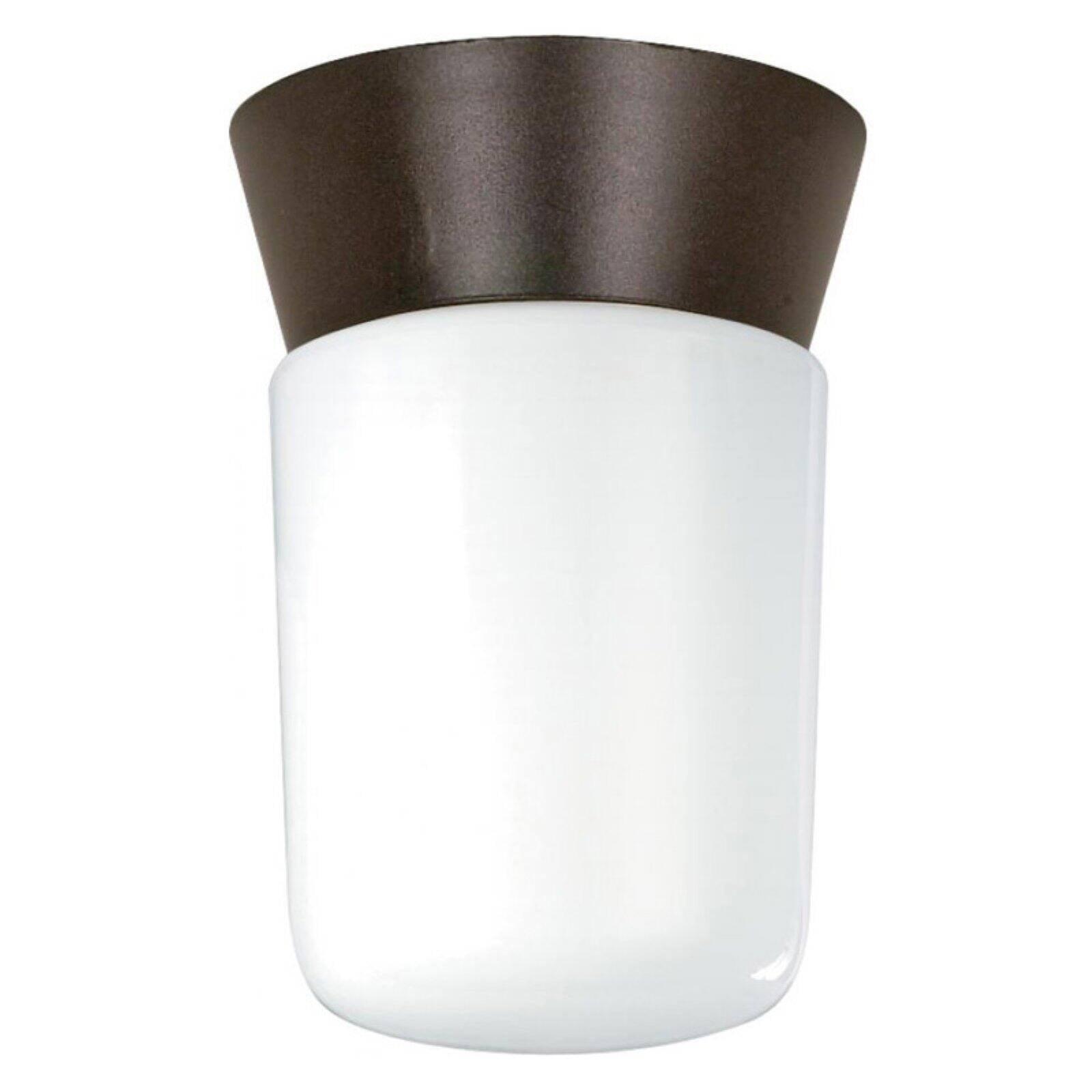 White Glass 8" Outdoor Flush Mount Ceiling Light