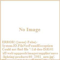 Nuvo Lighting Nuvo Odeon 2 Light Small Flush