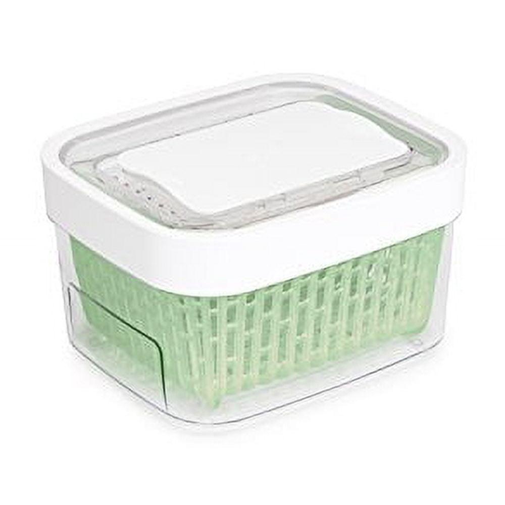 EcoFresh 1.6 Qt Green Produce Keeper with Activated Carbon Filter