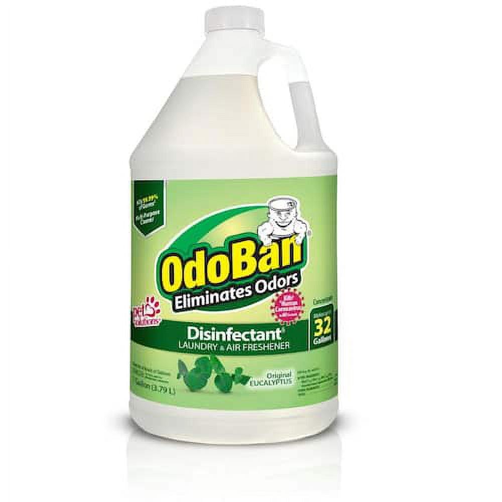 OdoBan Eucalyptus Scent Disinfectant and Odor Eliminator Concentrate