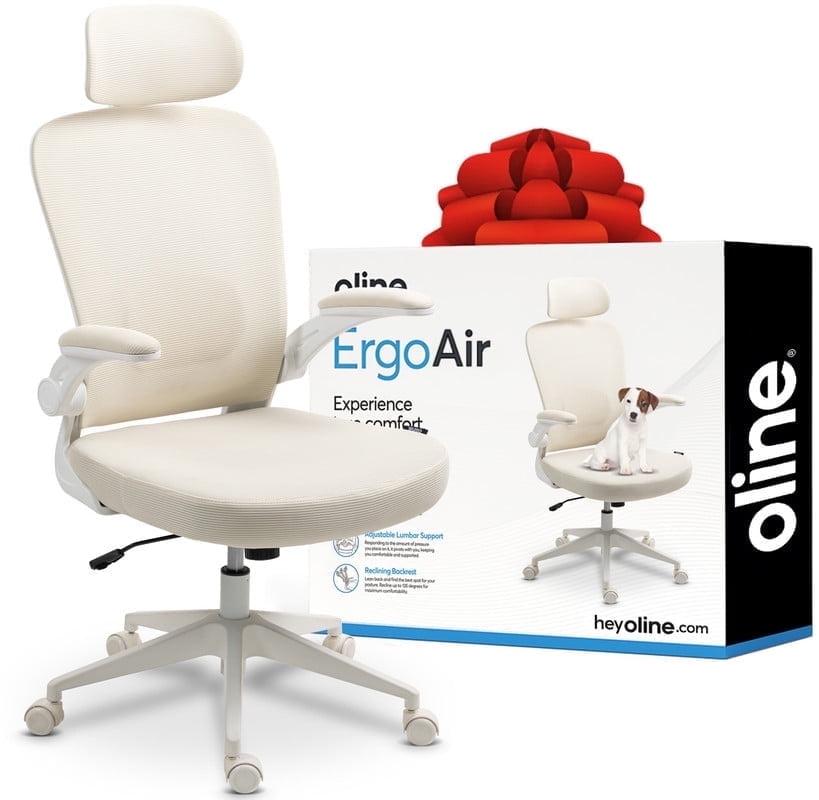 Oline Oline ErgoAir Ergonomic Office Chair – Adjustable Lumbar Support, Flip-Up Armrests, Mesh Computer Desk Chair, Swivel Rolling Executive Gaming Chair for Home & Office