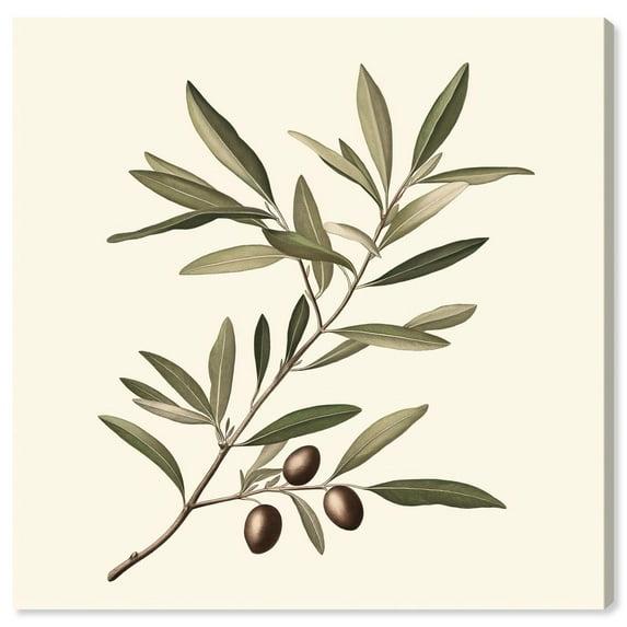 Art Remedy Olive Branch Ballet I Canvas Vintage Botanic Art by Art Remedy | Wayfair