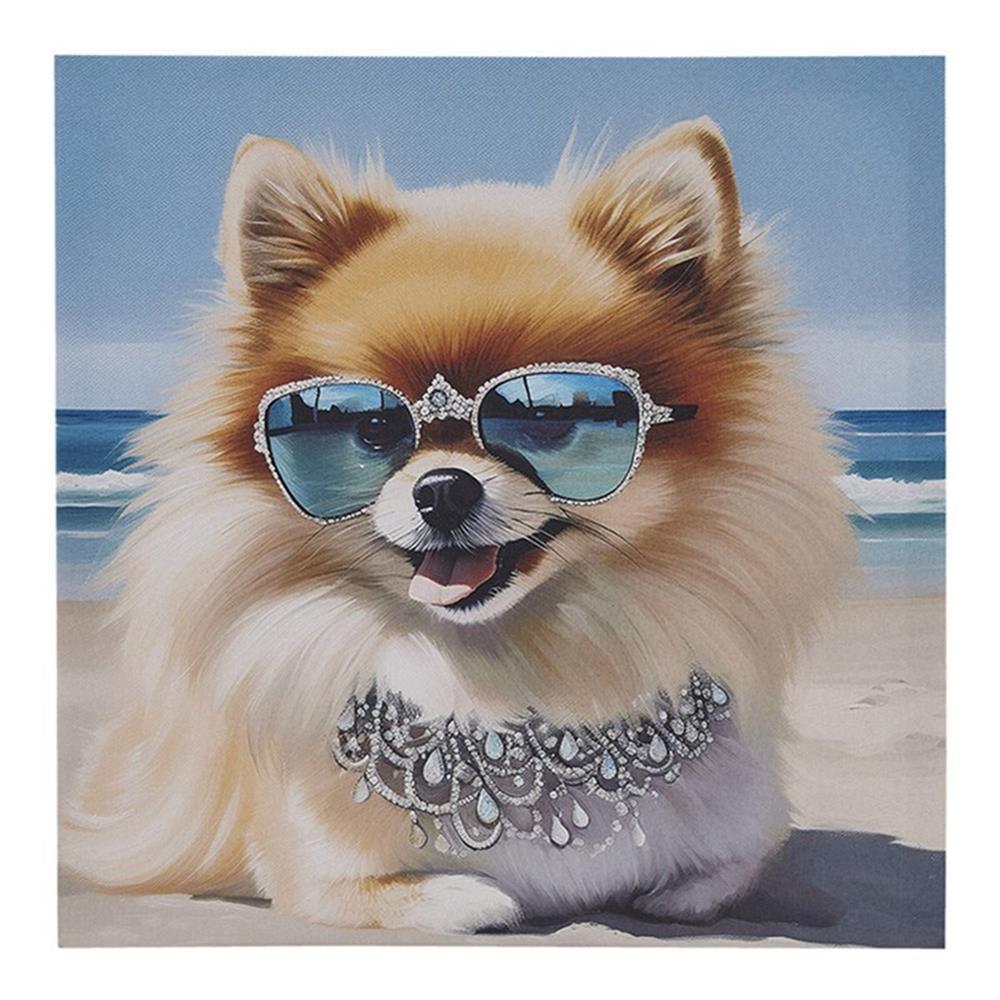 510 Design Beach Dogs Pomeranian Canvas Wall Art