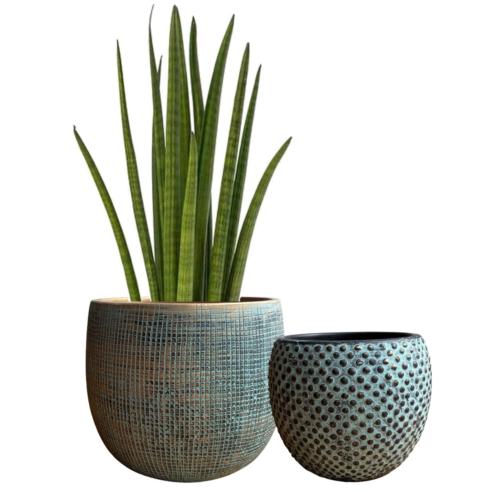 Olly & Rose Teal and Gold Ceramic Round Plant Pot Set