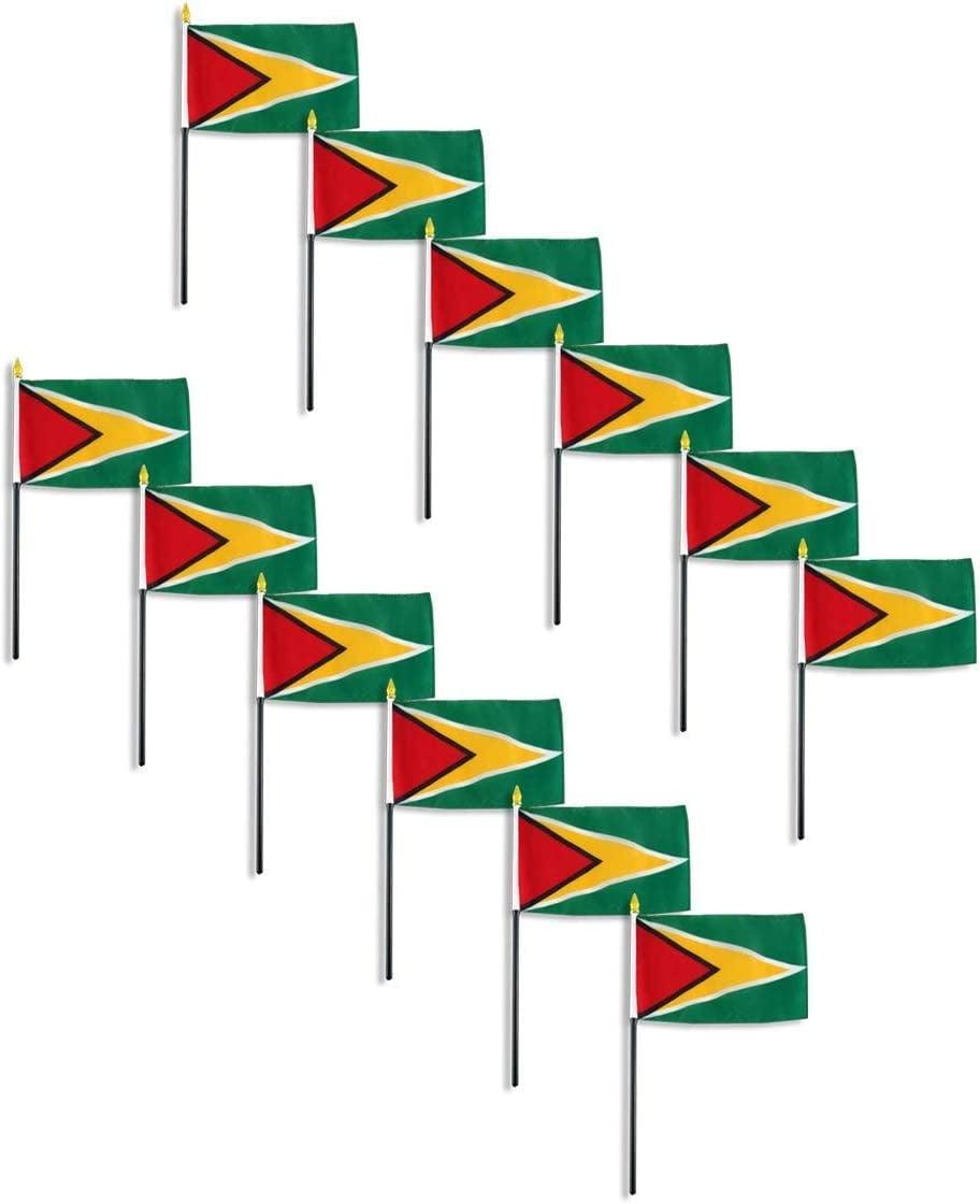 4 x 6 Inch Guyana Polyester Flags with Plastic Sticks, 12 Pack