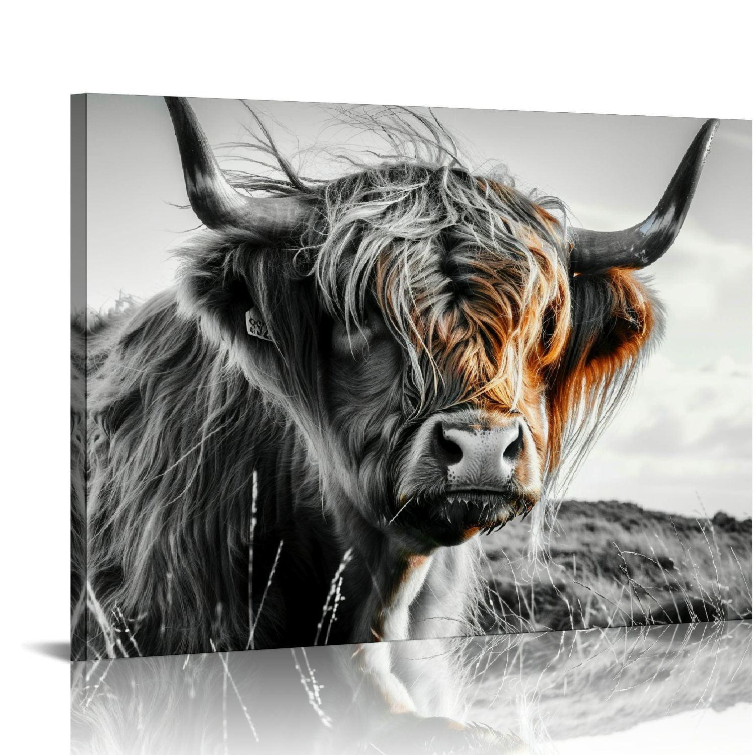 Lingy  Highland Cow Wall Art Farmhouse Decor Canvas Printed Black and White Cow Pictures Wall Decor Modern Western Rustic Artwork Decorations for Bedroom Office Living Room  16x12in