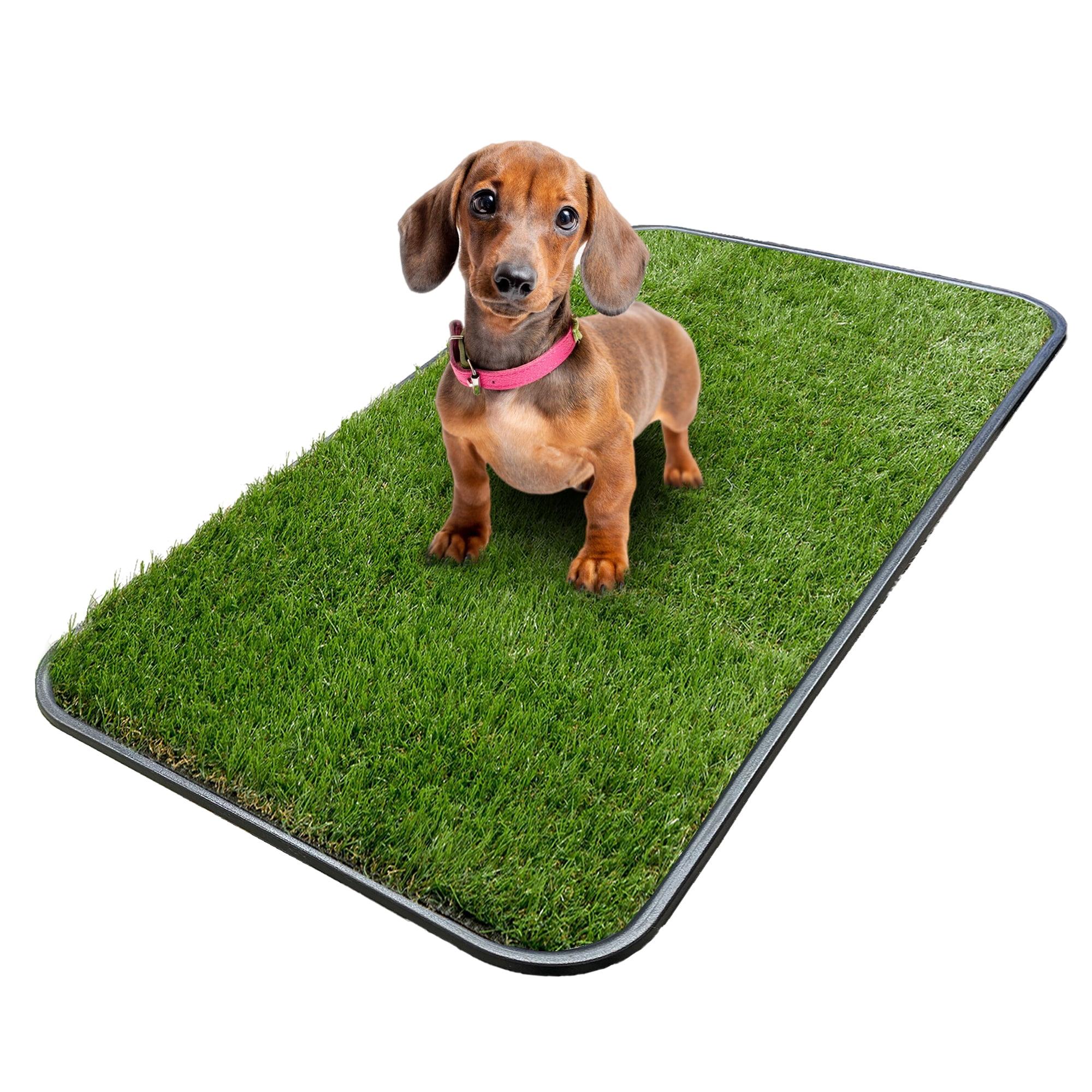 Ottomanson Pet Training Non-Slip Indoor/Outdoor Tray with Reusable Grass Pad
