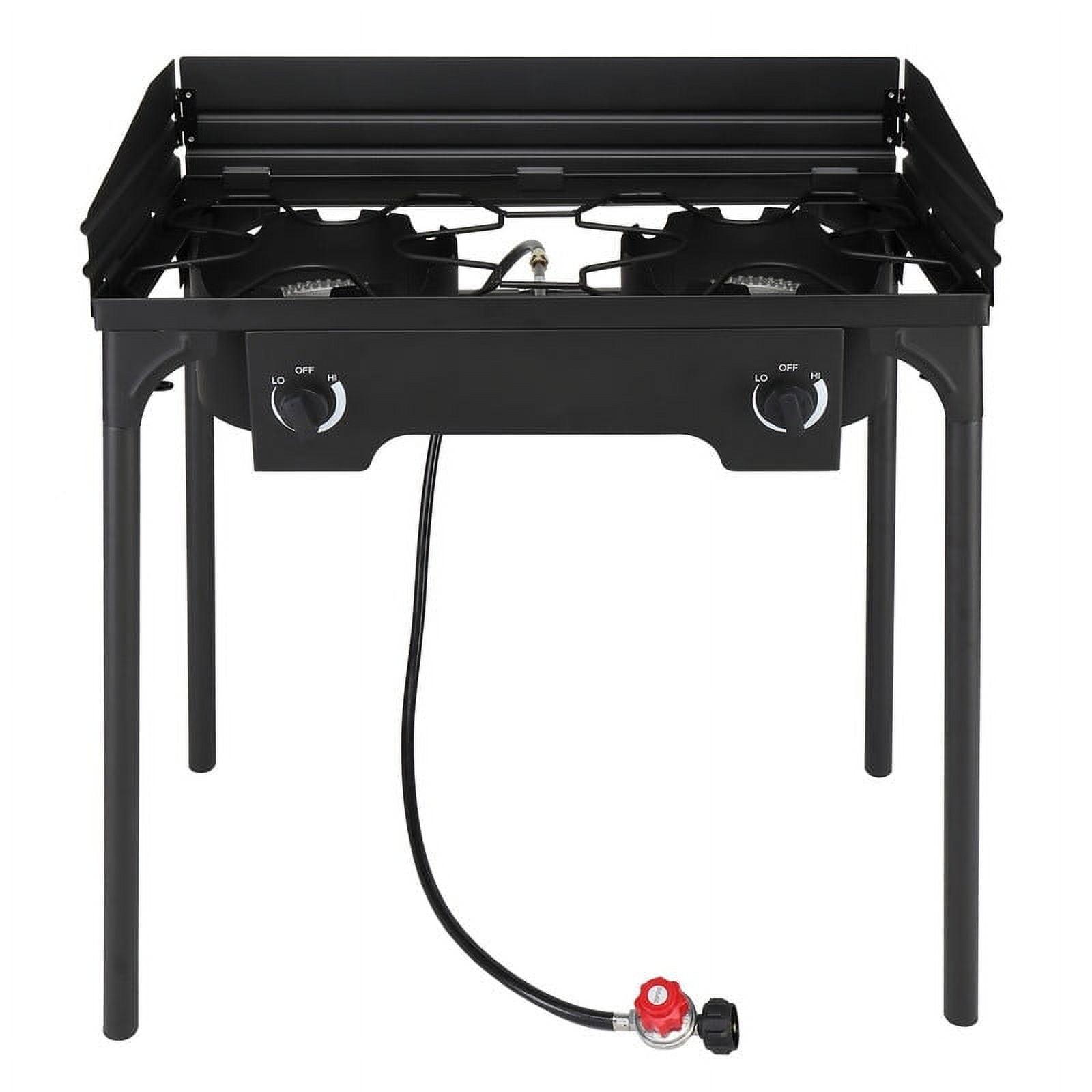 Black Cast Iron 2-Burner Portable Propane Gas Grill with Windscreen