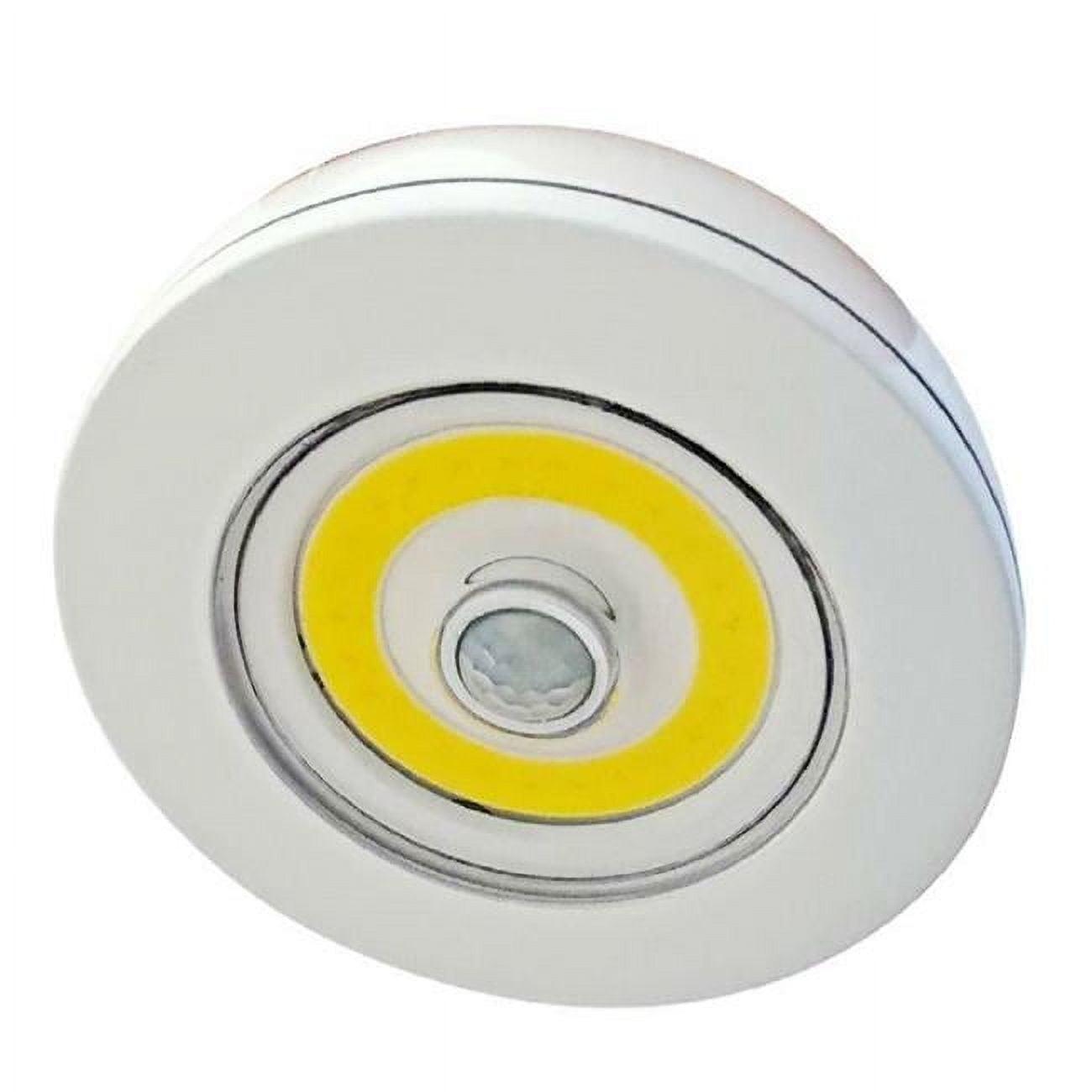 Black LED Motion-Activated Ceiling/Wall Light