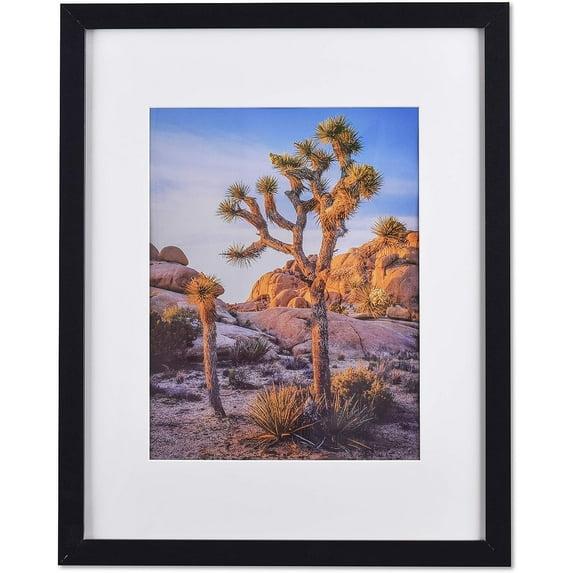 A PLUS MAX 20x24 Picture Frame with mat for 16x20 Picture with Polished Plexiglass Horizontal and Vertical Formats with Included Hanging Hardware-Black