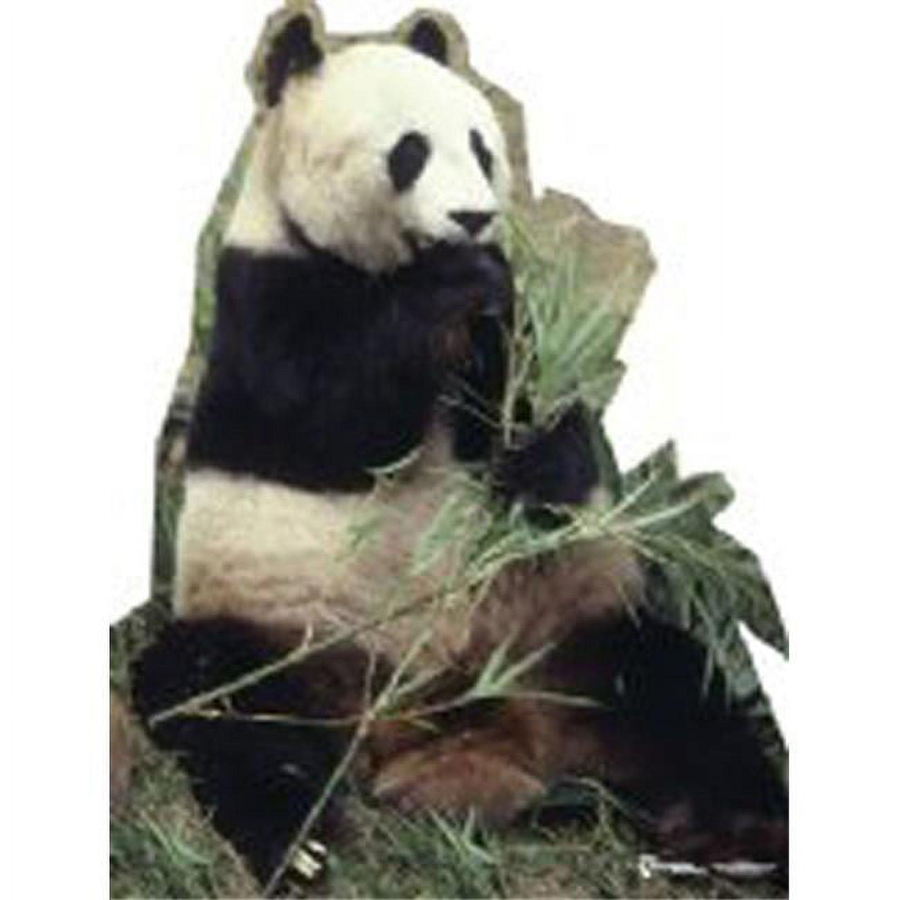 Panda Bear Eating Bamboo Life-Size Cardboard Stand-Up